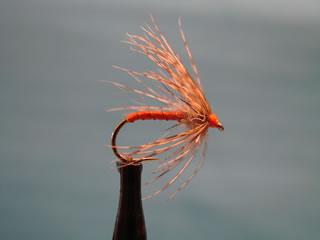 Soft Hackle (10-18)